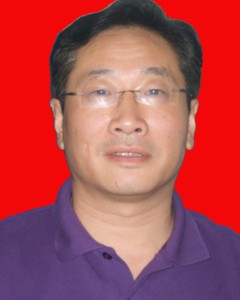 陈卫平